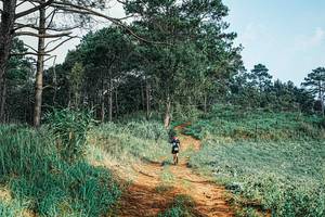 BIB: 
                            <button type="button" onclick="openModal(25653716)" class="btn btn-primary btn-sm float-right btn-popup" data-toggle="modal" data-target=".modal-high-quality">
                        <i class="fas fa-shopping-cart"></i> Add to Cart
                    </button>
                                            <button type="button" onclick="isThisMe(25653716, true)" class="btn btn-success btn-sm float-right btn-popup btn-isme hidden" data-toggle="tooltip" data-placement="bottom" title="นี่คือรูปของคุณใช่ไหม คลิกที่นี่เพื่อเอาเข้าอัลบั้ม">
                        <i class="fas fa-plus"></i> Add to album
                    </button>
                    <button type="button" onclick="isThisMe(25653716, false)" class="btn btn-warning btn-sm float-right btn-popup btn-isnotme hidden">
                        <i class="fas fa-ban"></i> Remove from album
                    </button>